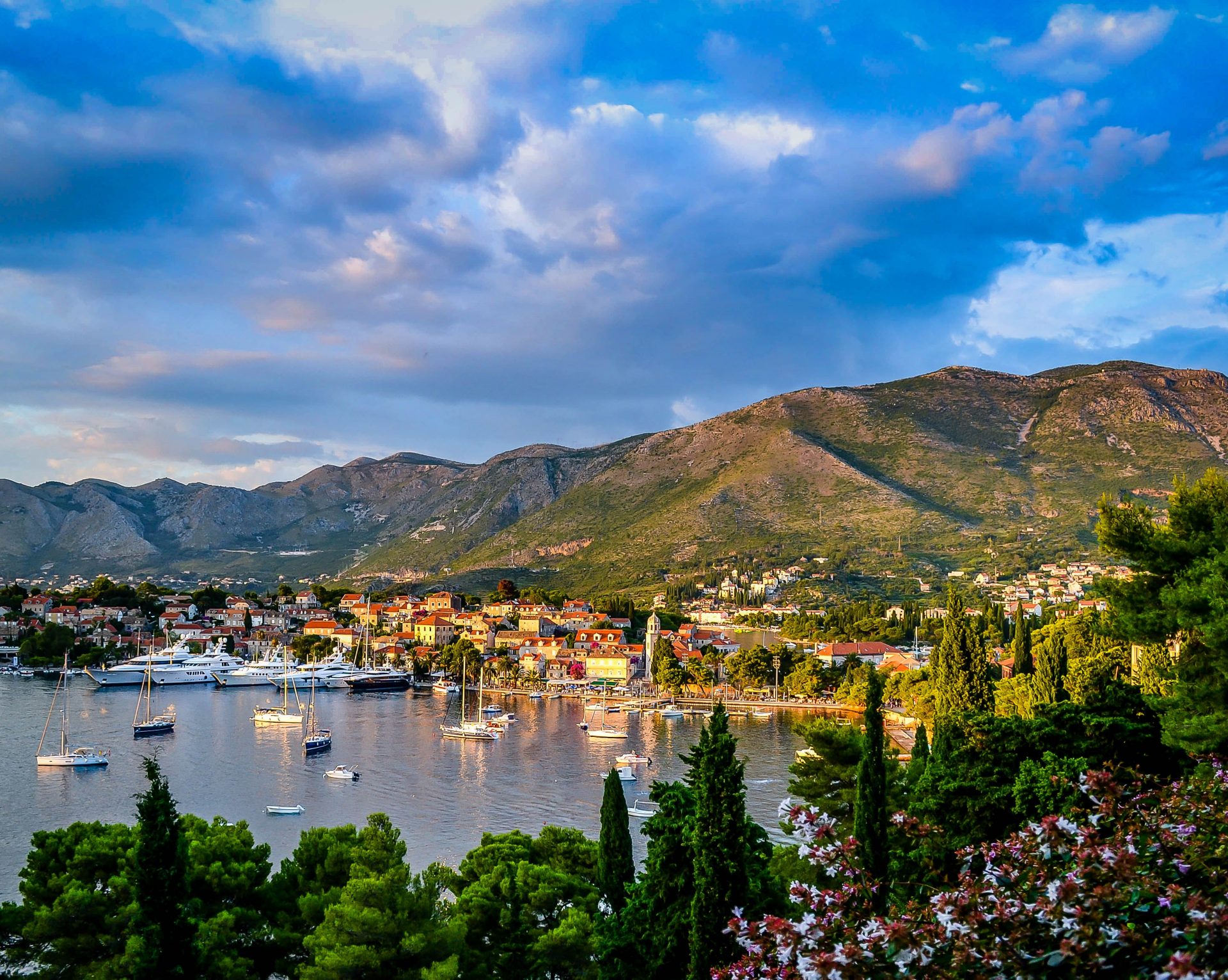 Croatian mountains covered with pine tress