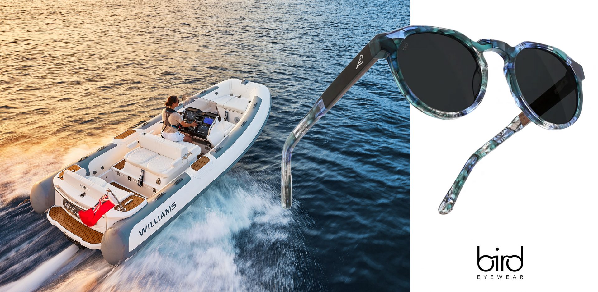 Williams Jet Tenders x Bird Eyewear